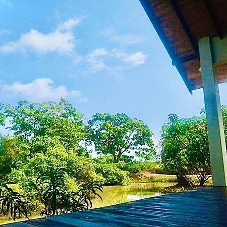 Thihawa Eco Huts Yala Bed & Breakfast Tissamaharama Ngoại thất bức ảnh
