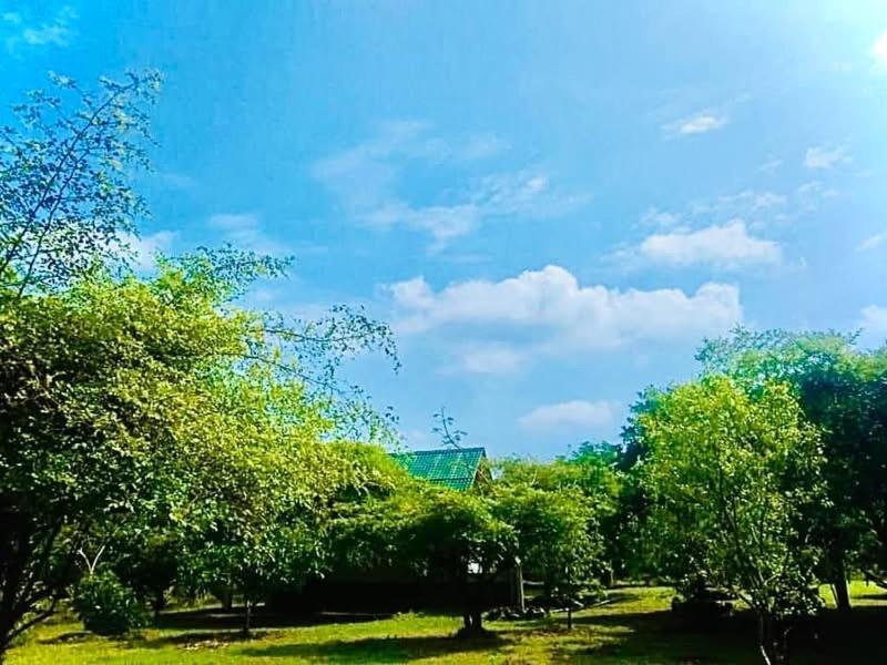 Thihawa Eco Huts Yala Bed & Breakfast Tissamaharama Ngoại thất bức ảnh