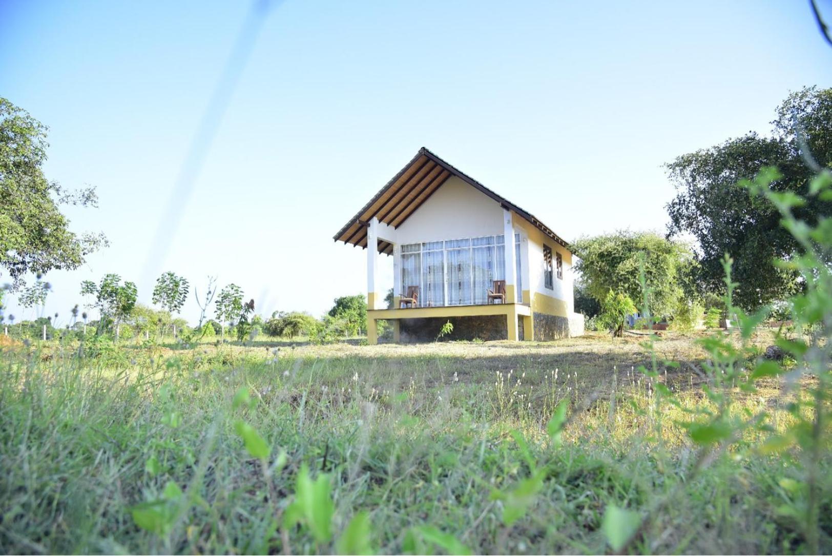 Thihawa Eco Huts Yala Bed & Breakfast Tissamaharama Ngoại thất bức ảnh