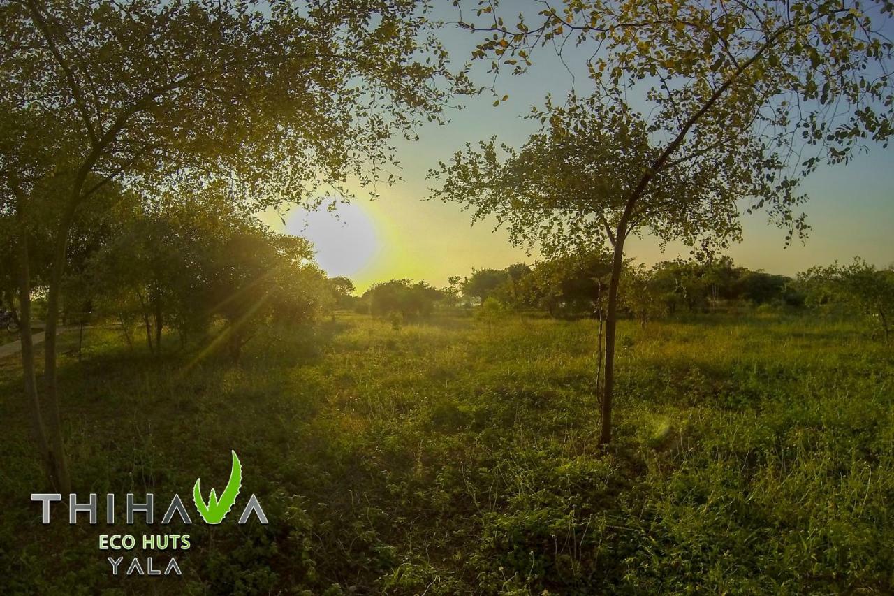 Thihawa Eco Huts Yala Bed & Breakfast Tissamaharama Ngoại thất bức ảnh
